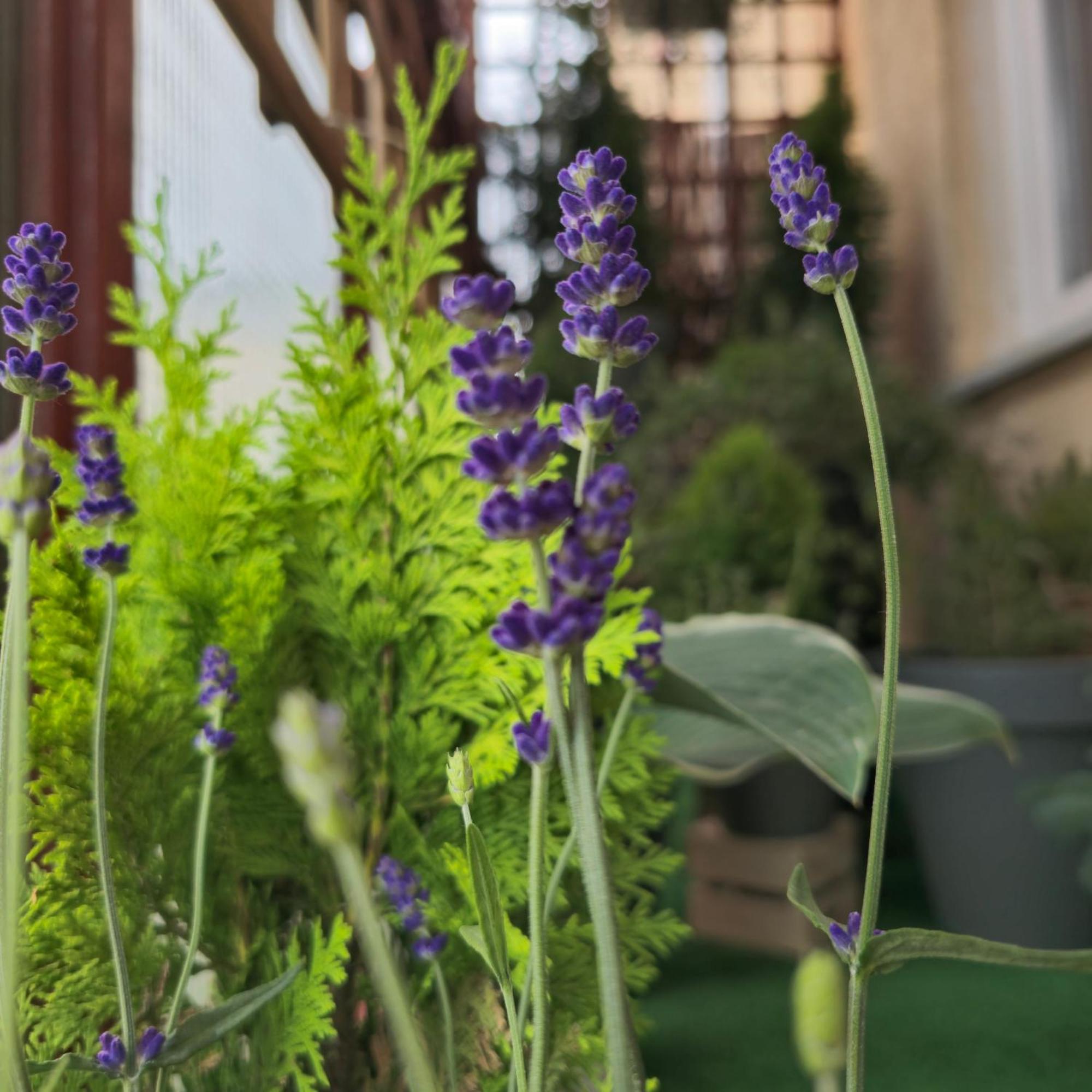 Apartamenty Magvel Szczecin Luaran gambar